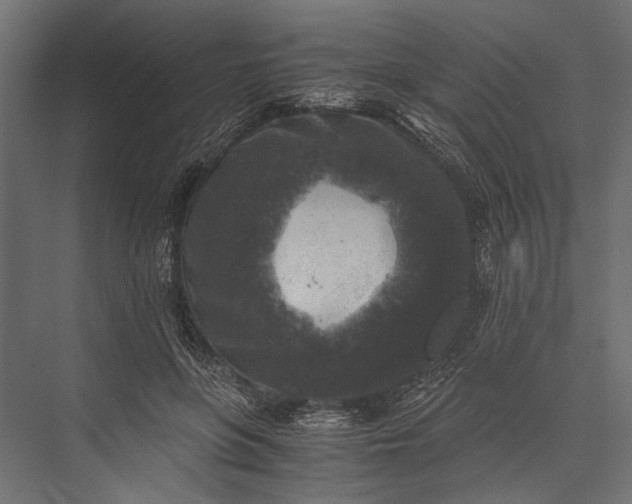 X0000076030551200610061421