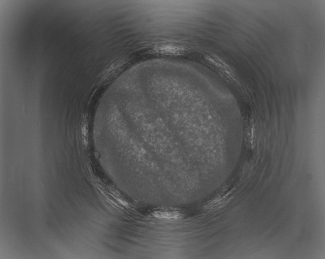 X0000076030552200610061421