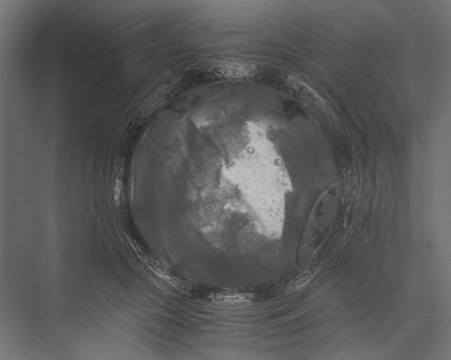 X0000076030553200610061421