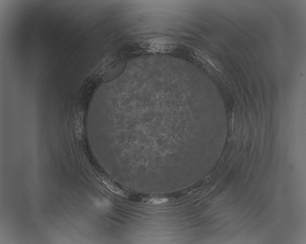 X0000076030554200610061421