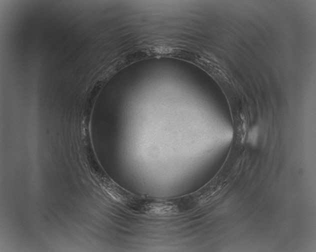 X0000076030555200610061421