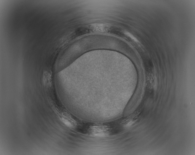 X0000076030556200610061421