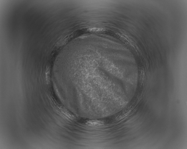 X0000076030557200610061421