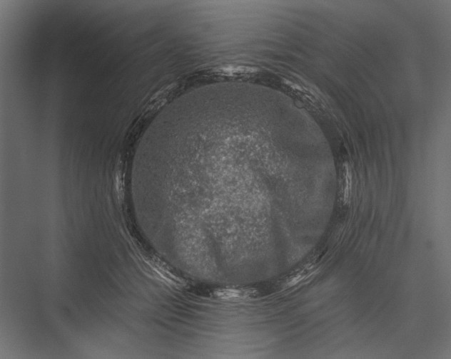 X0000076030558200610061421