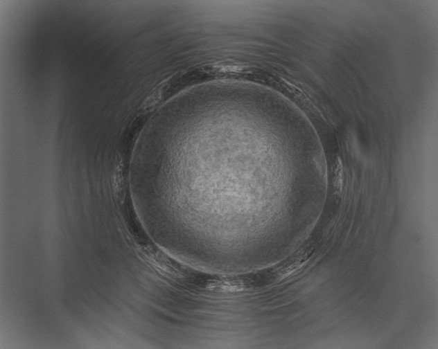 X0000076030559200610061421