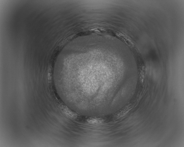 X0000076030561200610061421