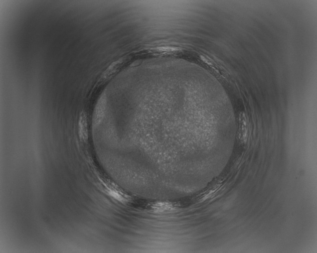 X0000076030562200610061421