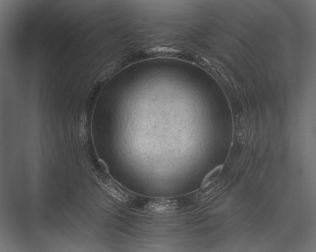 X0000076030563200610061421