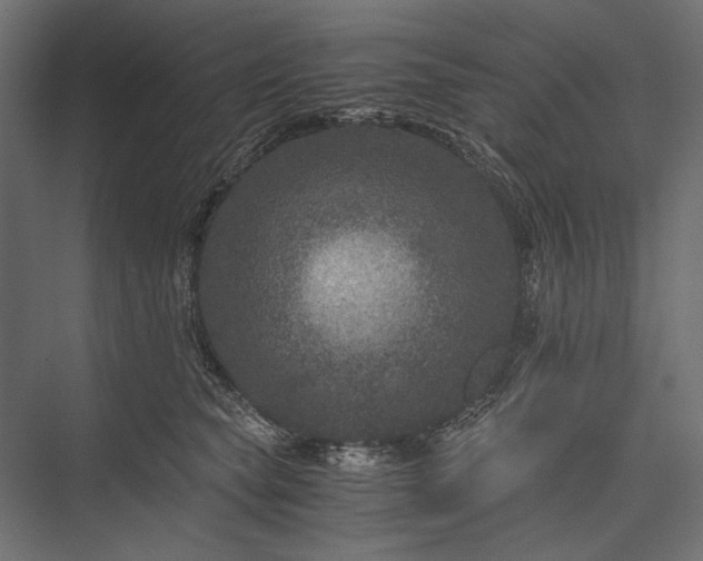 X0000076030565200610061421