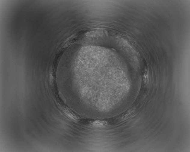 X0000076030566200610061421