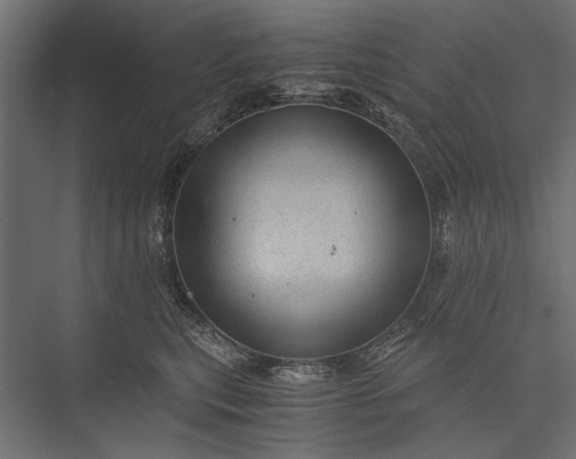 X0000076030567200610061421