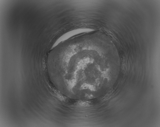 X0000076030569200610061421