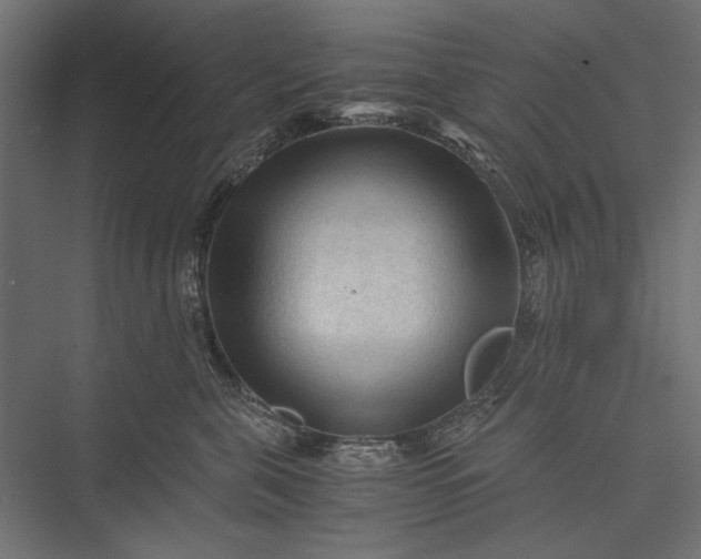 X0000076030571200610061421