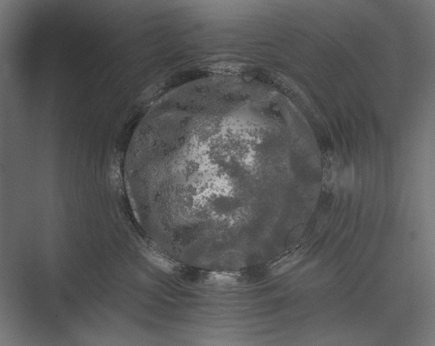 X0000076030573200610061421