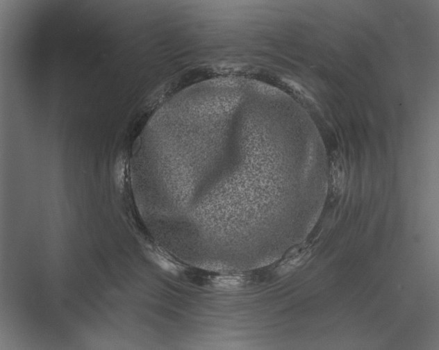 X0000076030574200610061421