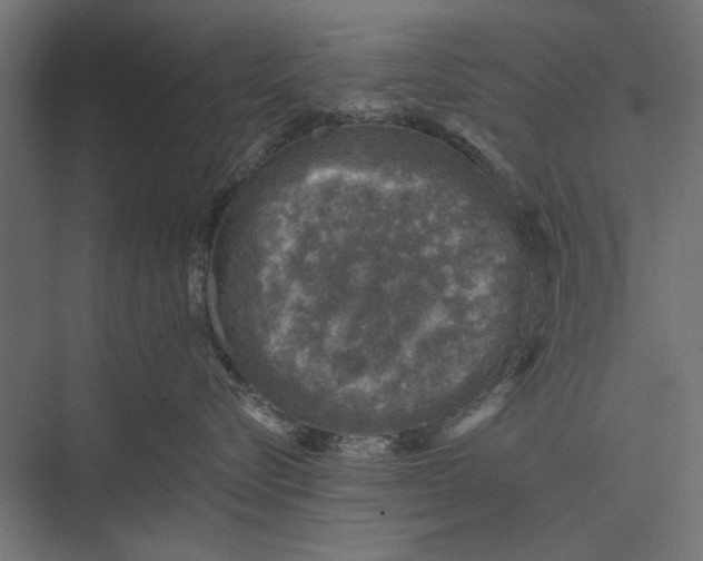 X0000076030576200610061421