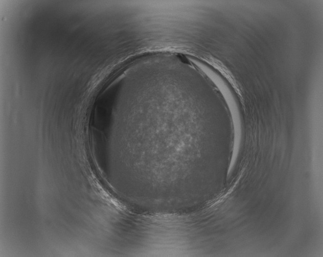 X0000076030577200610061420