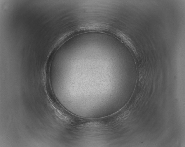 X0000076030578200610061420