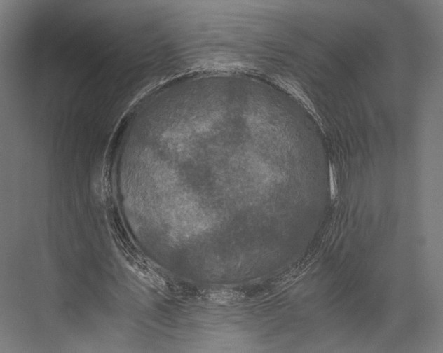 X0000076030579200610061420