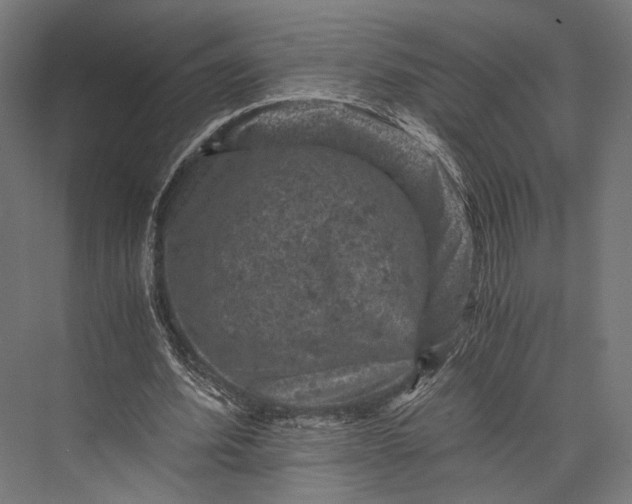 X0000076030580200610061420