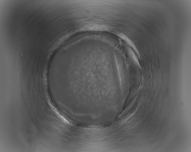 X0000076030581200610061420