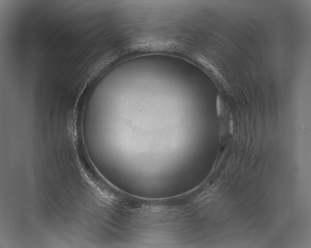 X0000076030582200610061420