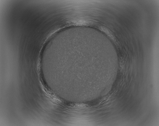 X0000076030583200610061420