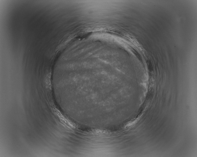 X0000076030585200610061420