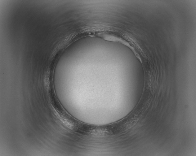 X0000076030586200610061420