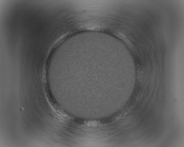 X0000076030587200610061420