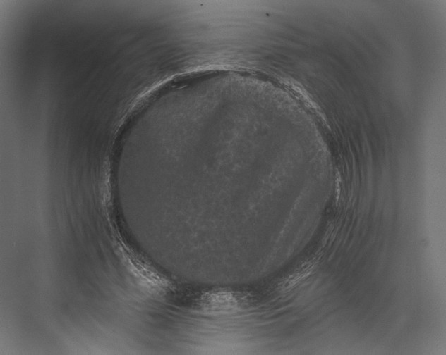 X0000076030588200610061420