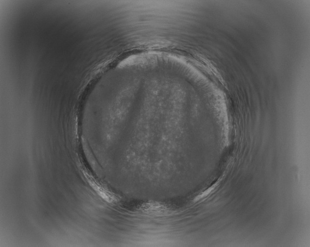 X0000076030589200610061420