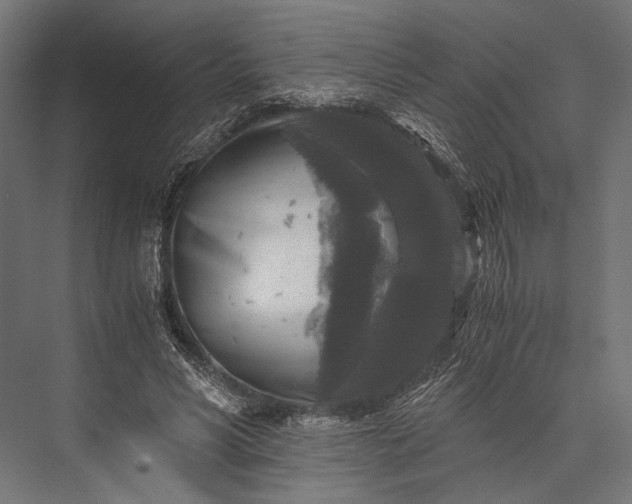 X0000076030590200610061420