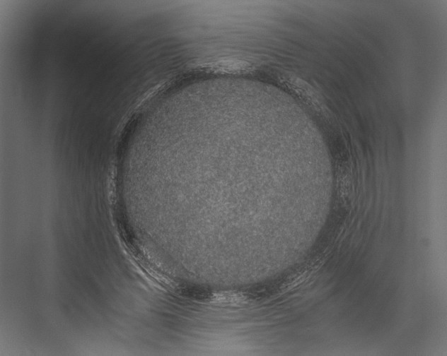 X0000076030591200610061420