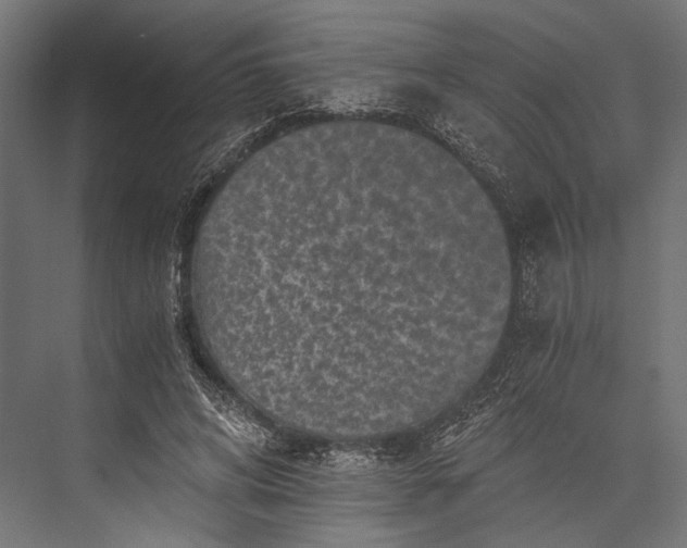 X0000076030592200610061420