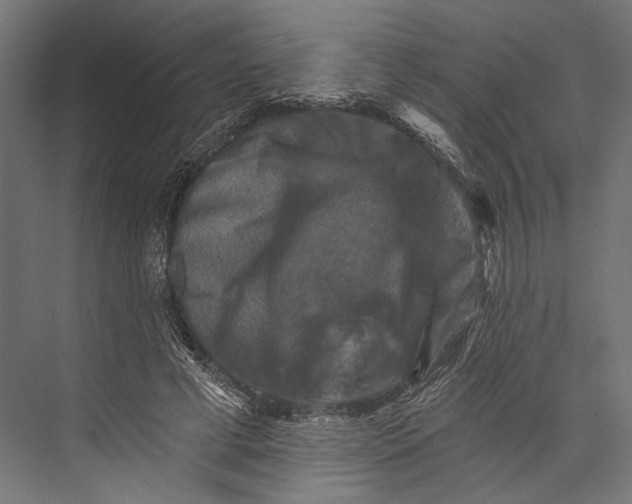 X0000076030593200610061420