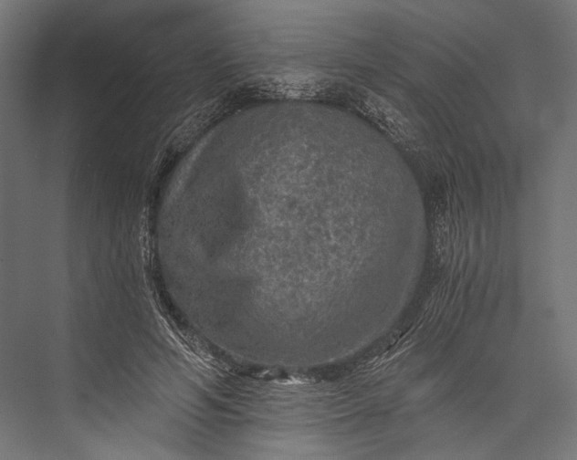 X0000076030594200610061420