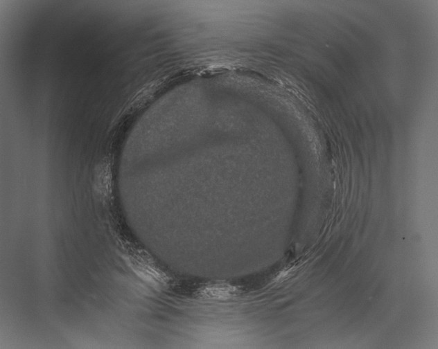 X0000076030595200610061420