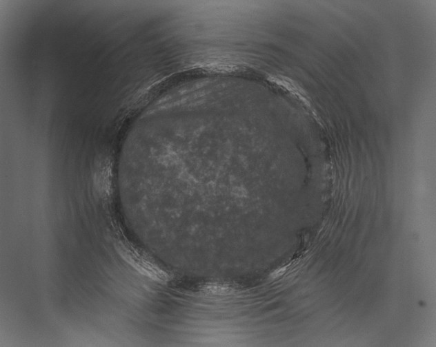 X0000076030596200610061420