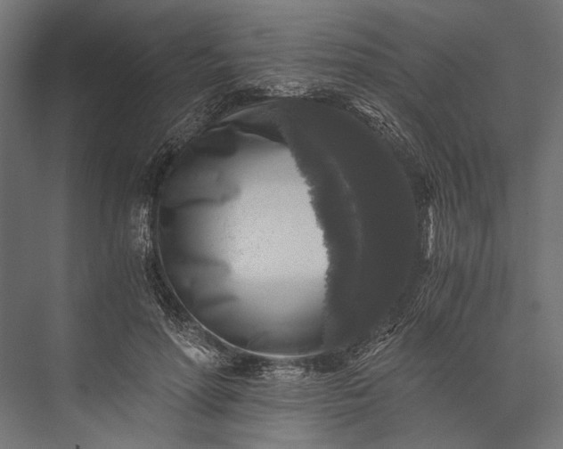 X0000076030598200610061420