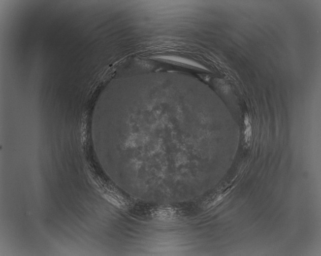 X0000076030600200610061420