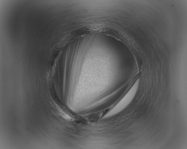 X0000076030601200610061420