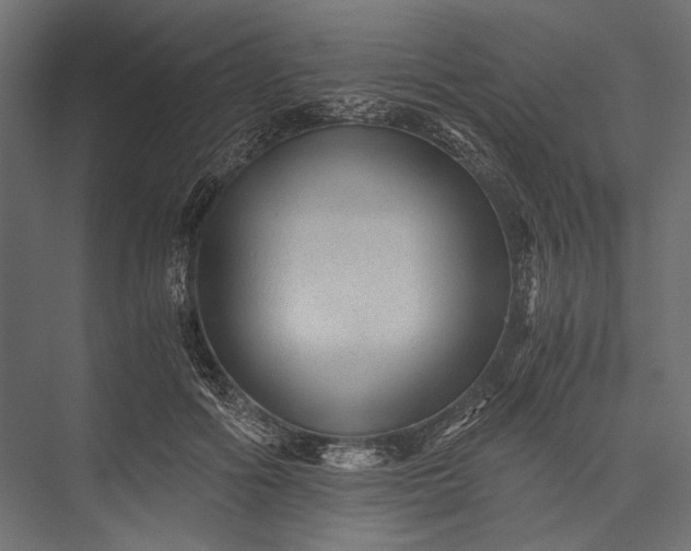 X0000076030602200610061420