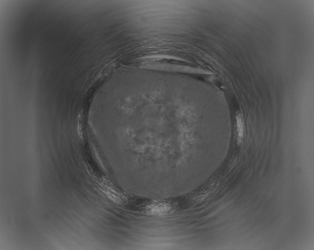 X0000076030604200610061420