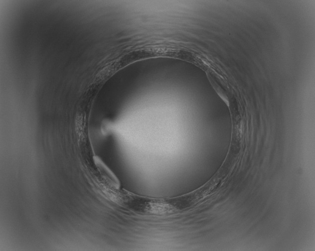 X0000076030605200610061420