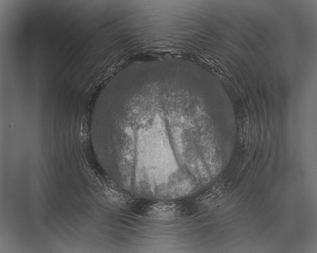 X0000076030606200610061420