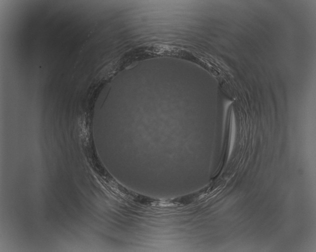 X0000076030607200610061420