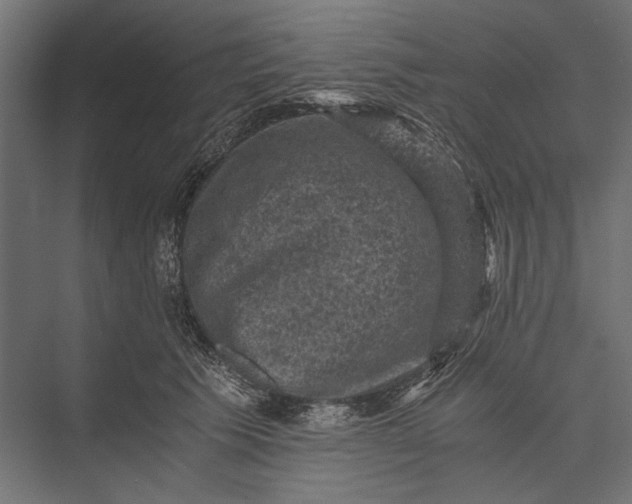 X0000076030609200610061420