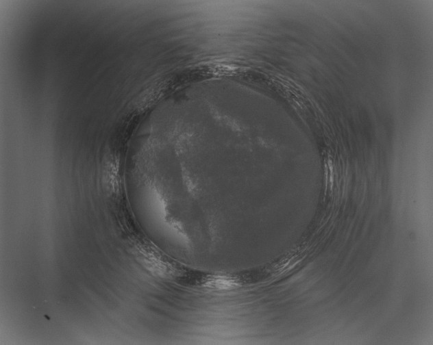 X0000076030610200610061420