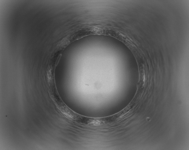 X0000076030611200610061420